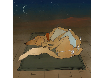 Saluki animal borzoi character deerhound desert dog greyhound hound illustration landscape night procreate saluki sand sleep