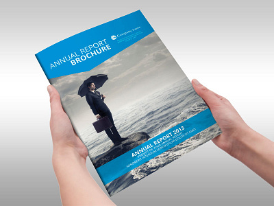 Annual Report Brochure Indesign Template