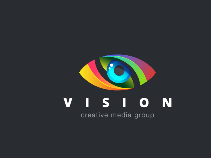 Vision Business Logo Design By Ch Hamza On Dribbble