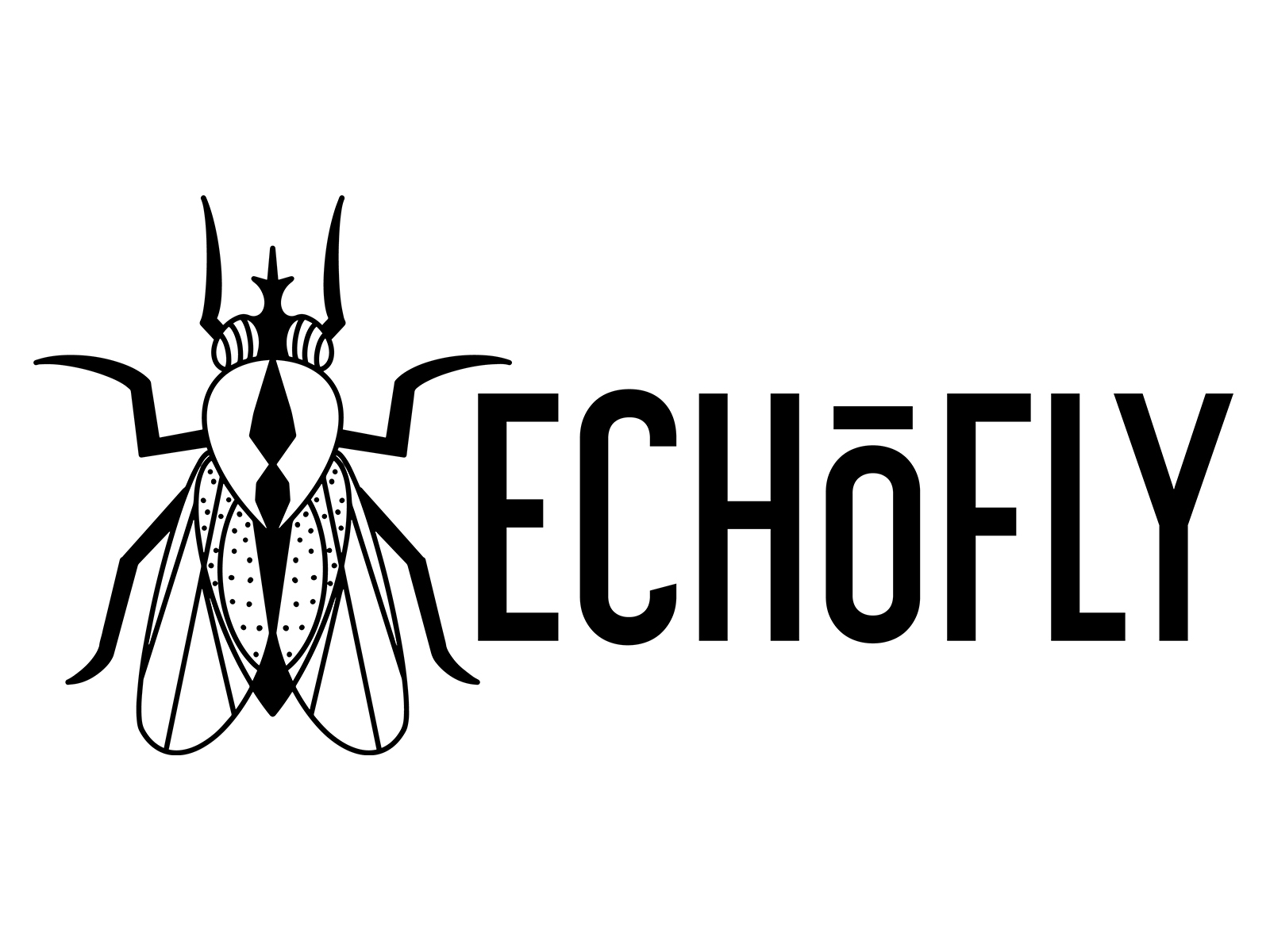 Logo Design Echofly by Alexandra Ramirez on Dribbble