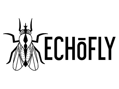 Logo Design Echofly