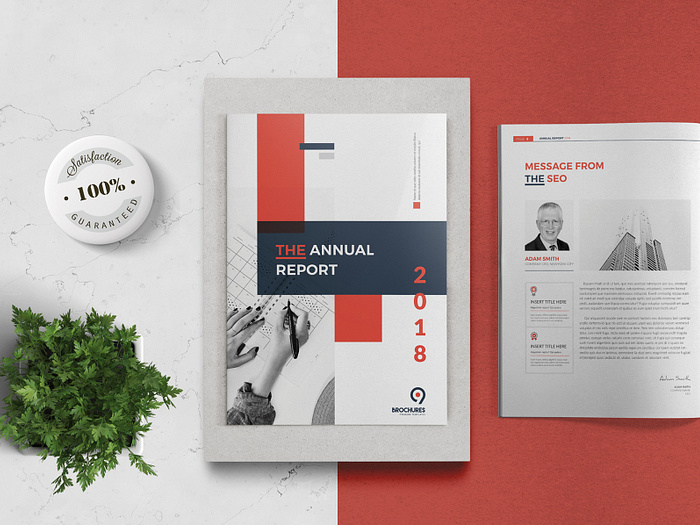 Browse thousands of Annual Report images for design inspiration | Dribbble