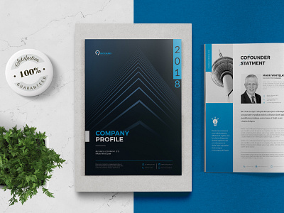 Company Profile brochure brochure design brochure template company brochure company profile indesign template report report cover report template