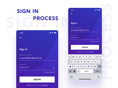 SIGN IN UI/UX app design ios sign sign design sign in sign in form ui ux