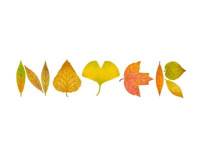 Sanggang autumn dead leaves design doodle fall fallen leaves illustraion leaf left fall logodesign vector