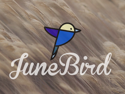 Junebird logo illustrator junebird logo mobile app music