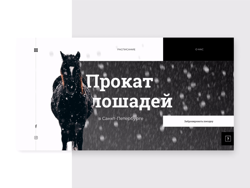 Horse rental page UI animation design minimal ui ux web webdesign website