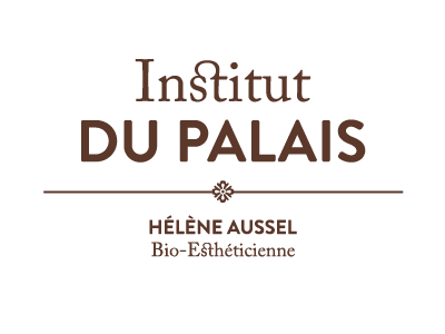 Institut du Palais logotype type