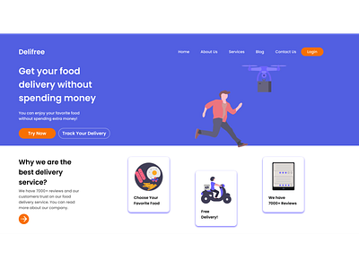 Delifree Web Design ui