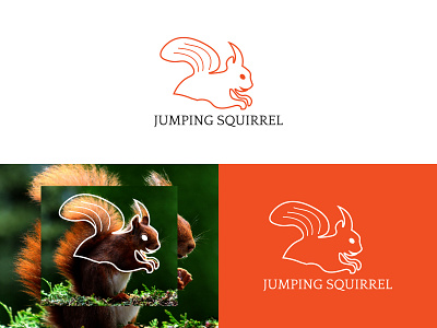 Jumping Squirrel Logo animal animal logo ardilla logo business logo design eekhoorn logo logo design squirrel logo