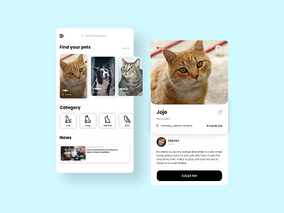Pet Adoption UI adopt animal app care ui uidesign ux
