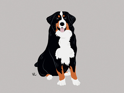 This is Luna animal bernese dog dog icon dog illustration happy illustrator infinite painter lithuania mountain dog portrait postcard vector zenenhund