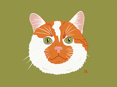 Ernis adopted animal cat catlady cute cat drawing furry ginger icon illustration illustrator infinite painter kitty lithuania portrait vilnius
