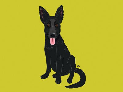 Alaska animal big ears black cute digital dog drawing german shepherd icon illustraion illustration infinite painter lithuania photoshop portrait puppy vilnius