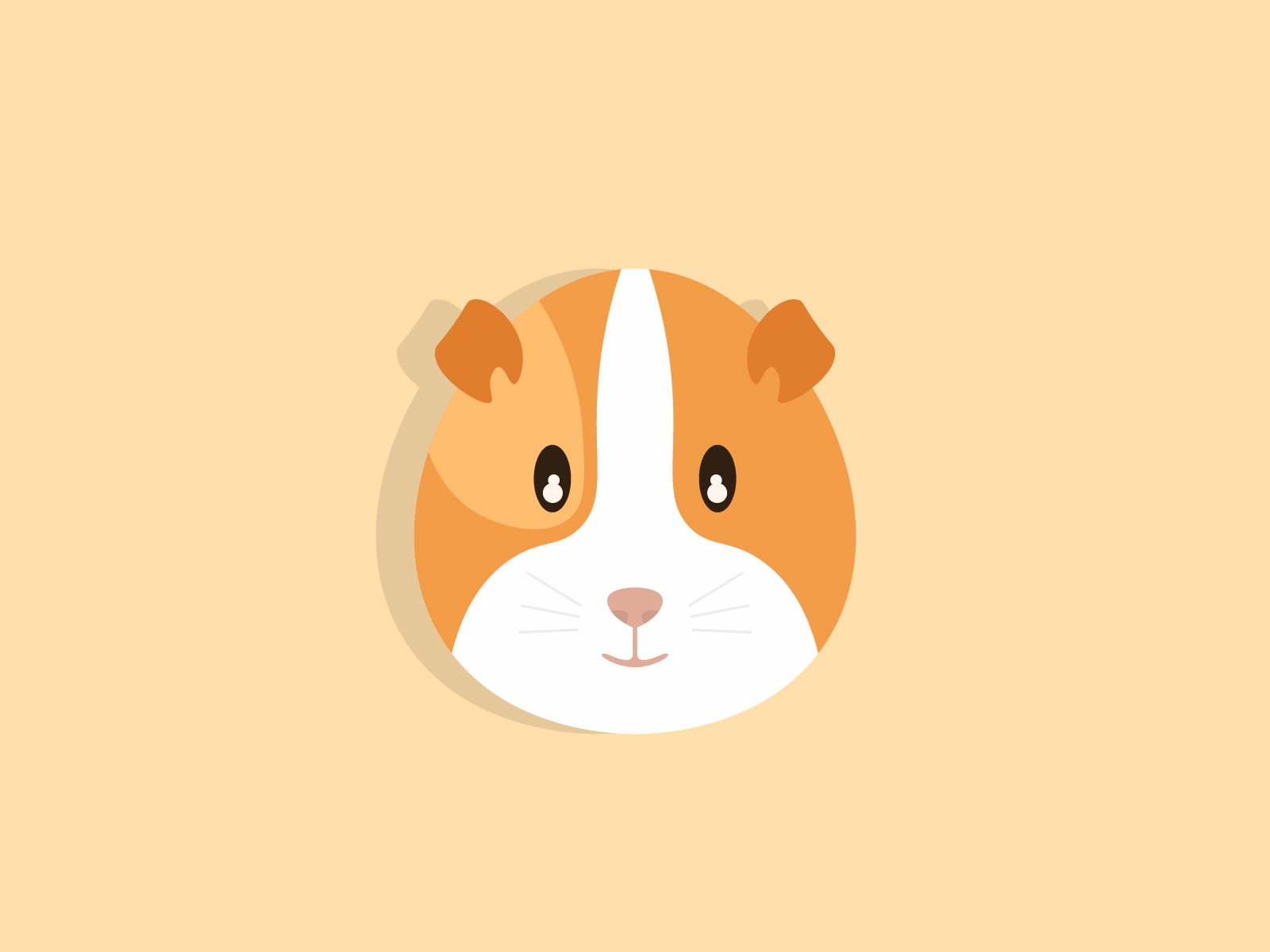 Cute Guinea Pig by Hasib Khan on Dribbble