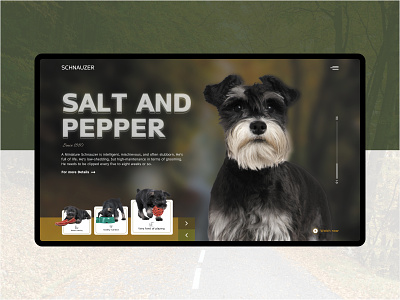 SCHNAUZER clean clean ui design dog graphic design ui webdesign