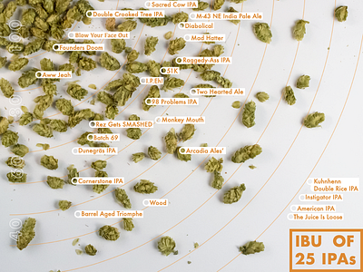 The IBU Rating of 25 MI IPAs beer infographic ipa mi michigan photo