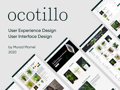 "Ocotillo" User Experience Case Study azerbaijan baku design user experience userinterface ux webdesign website design