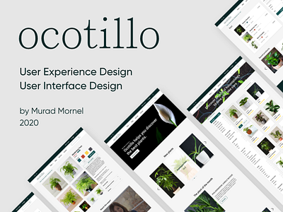 "Ocotillo" User Experience Case Study