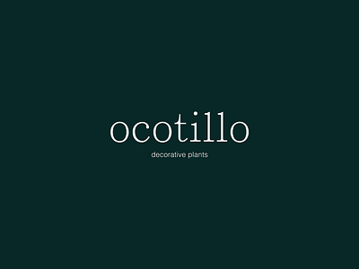 Logo design - "Ocotillo" - 2020, Baku, Azerbaijan azerbaijan baku company creative design element illustration logo logodesign loqodizayni minimal logo plant logo plant shop plant store logo typeface typography typography logo