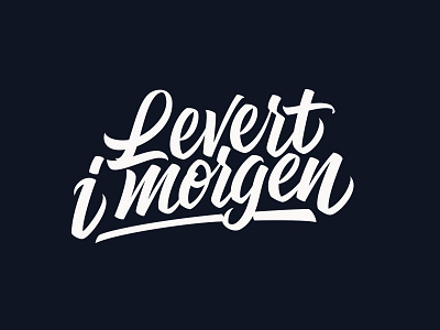 Levert i morgen Logo