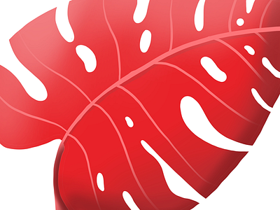 A red monstera leaf! design for hire illustration illustrator leaf red shades