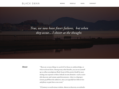 Profile about us black swan clean minimal profile typography