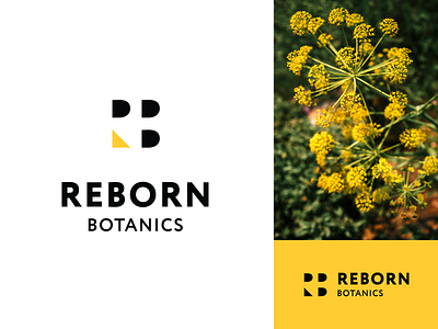 Reborn Botanics Logo Design branding identity logo logo design logotype minimalistic natural negative space