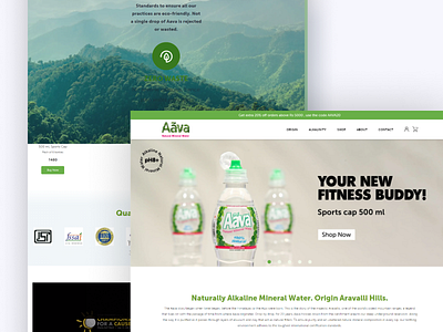 Ava - Responsive Website Design