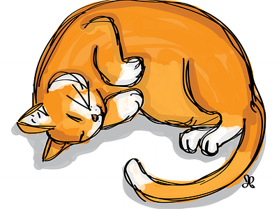 Sleepy Ginger Kitty