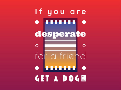 If you're desperate for a friend, get a dog