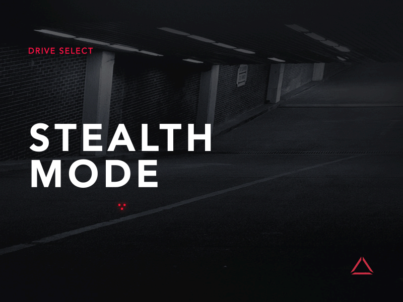 Stealth Mode by Nitendra Gurung on Dribbble