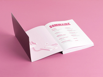 "Le Petit Paris" urbanism design book isometrie isometry map paris pink plans rose urbanism urbanisme