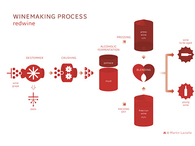 Winemaking process (red wine) diagram graphic design process schematic wine