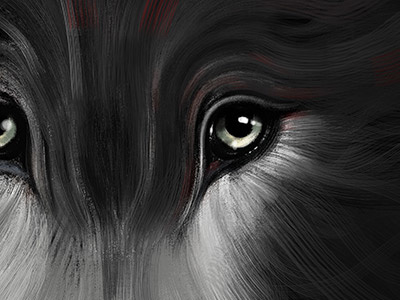 Wolf animal art ilustration wild wolf