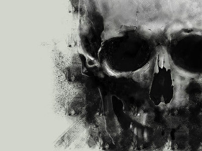 Skull art drawing head illustration skull