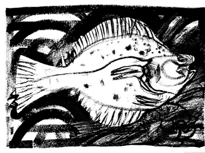 Platichthys flesus expressionism fish illustration
