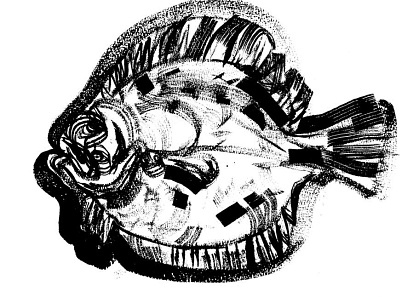Scophthalmus maeoticus expressionism fish illustration