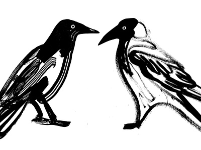 crows bird birds crow crows illustration
