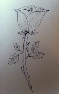 Rose Sketch rose sketch valentine