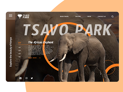 Tsavo National Park Website redesign figma ui ui ux ui design ui designer uiux ux ux design uxdesign