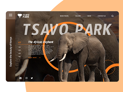 Tsavo National Park Website redesign