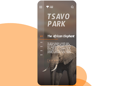 Tsavo National Park mobile website redesign concept ui design web design