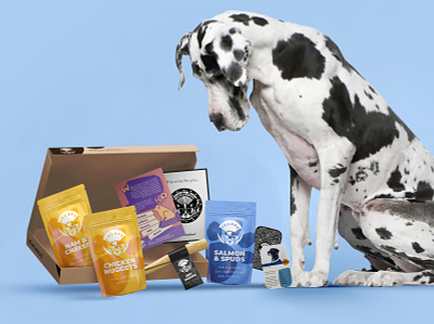 Frank's Subscription Box belfast c4d food great dane mockup packaging pouch snack subscription subscription box treat