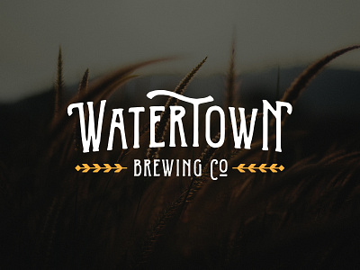 Watertown Brewing Company beer brand identity microbrew sd south dakota wheat