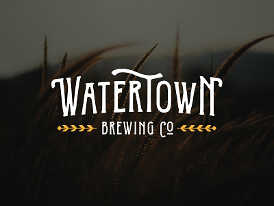 Watertown Brewing Company