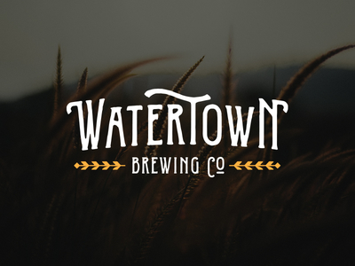 Watertown Brewing Company beer brand identity microbrew sd south dakota wheat