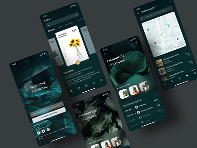 Midori(みどり) - Interfaces of a Flower Application app flower icon mobile plant product design sketch ui ux