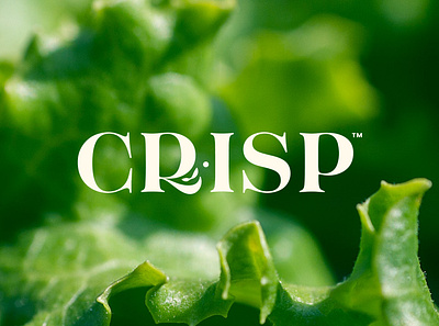 Crisp Salad Bar Logo branding design graphic design icon illustration logo typography vector