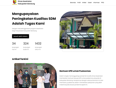 Dinas Kesehatan Website design figma government indonesia ui web web design